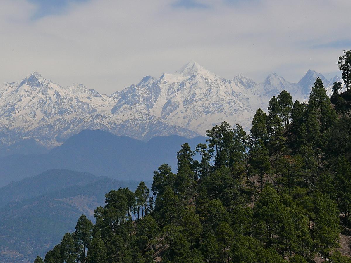 Ayurvaid Kalmatia Almora Bagian luar foto
