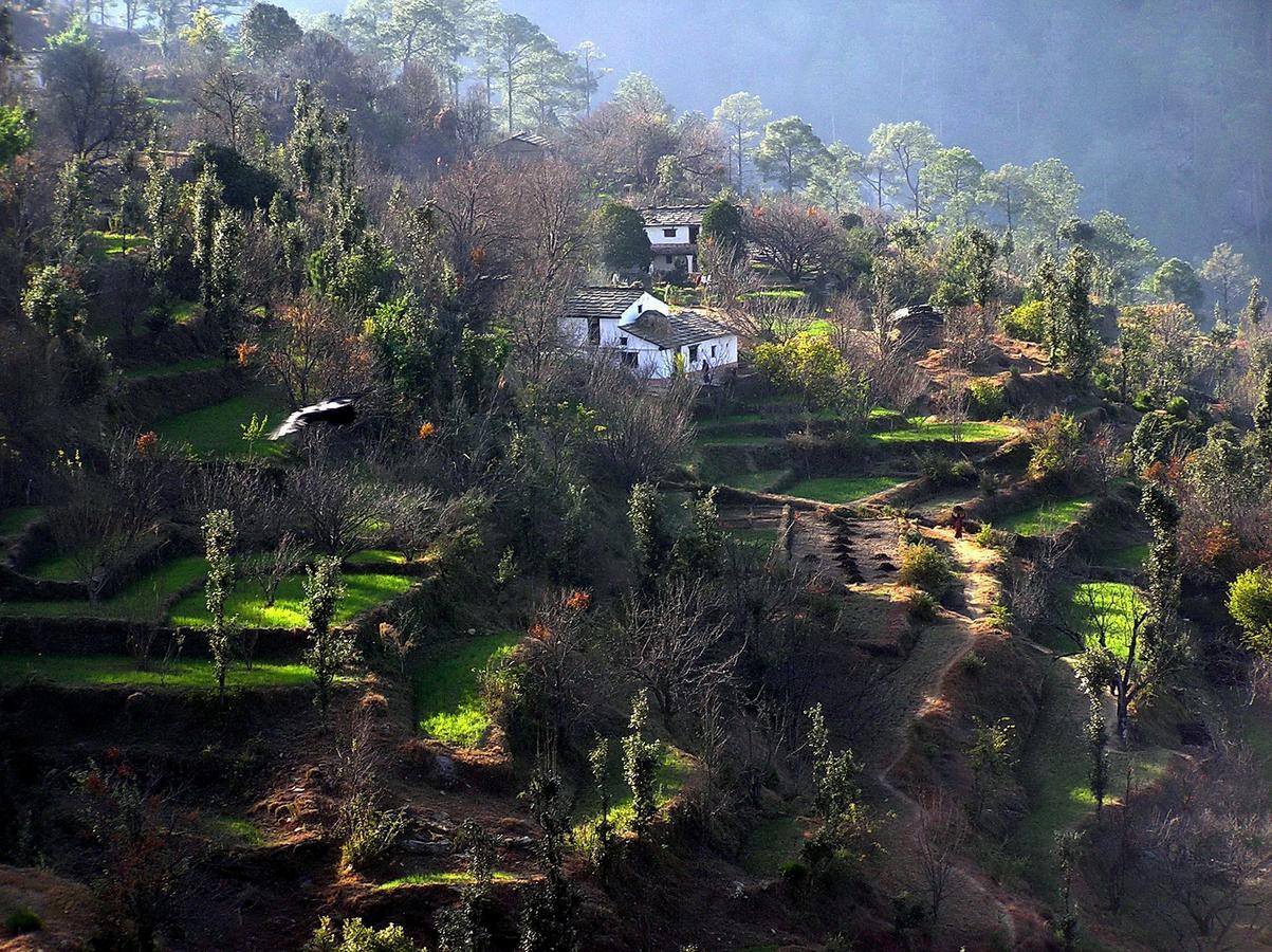 Ayurvaid Kalmatia Almora Bagian luar foto